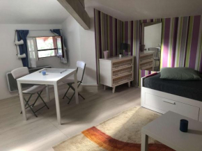 Studio Soorts-Hossegor, 1 pièce, 2 personnes - FR-1-247-206